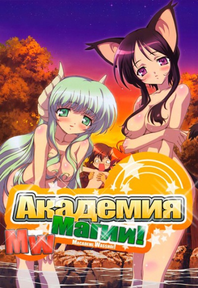 Академия Магии / The Magician's Academy