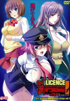 Лицензия на приставание / Chikan no Licence