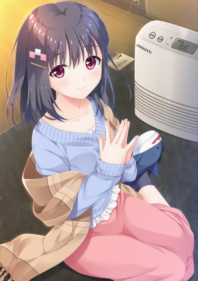 ,    ,    ! / Onii-chan Asa made Zutto Gyutte Shite!