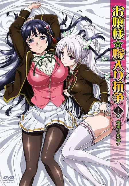 Госпожа Ёмэири / Ojousama☆Yomeiri Kousou!